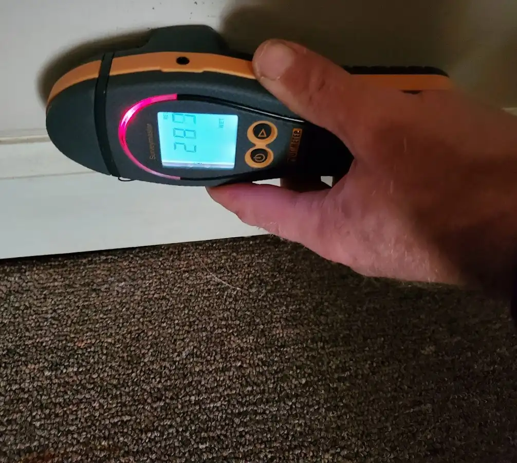 Moisture detection at baseboard during Sewage Cleanup & Sanitation in Farmington