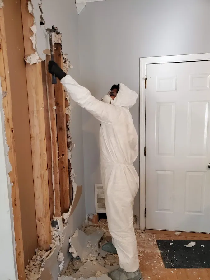 Mold Remediation & Removal in Farmington, NY